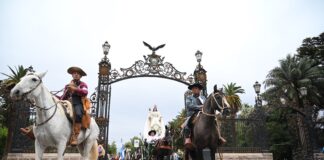 Columnista invitado: Qué es la Vendimia y cuánto la valoramos