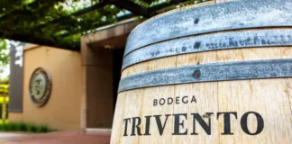 Consistencia en la tormenta: Trivento y la arquitectura de un modelo contracíclico