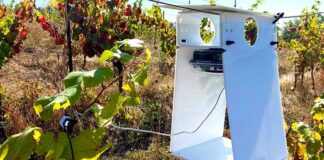 IA y Viticultura Sostenible: Israel presenta sus tecnologías de vanguardia en un foro virtual exclusivo