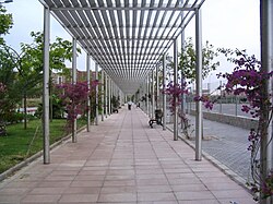 Contate un cuento: El laberinto de hierro y tiempo: un encuentro con los ecos del alma